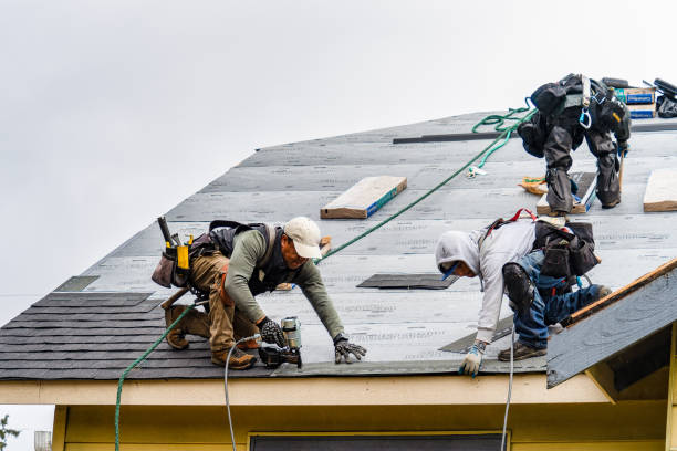 Professional Gutter Installation technician working in Wilmer, TX